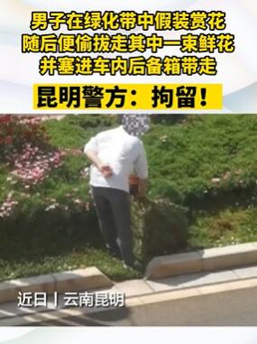 昆明一男子绿化带拔花带走被拘5日
