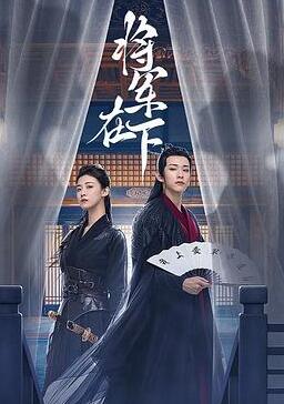 将军在下