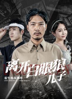 重生后,我选择离开白眼狼儿子