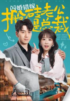 闪婚错嫁搬砖老公是总裁