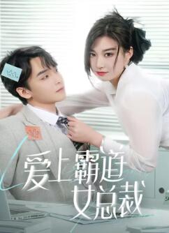 爱上霸道女总裁