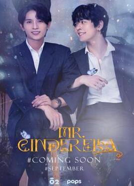 辛德瑞拉先生2/愛上灰姑男2