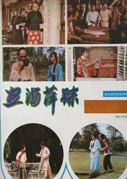 怒海萍踪