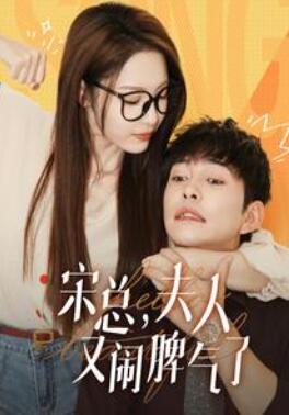 宋总,夫人又闹脾气了