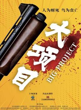 大项目