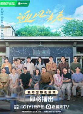 迎风的青春