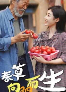 春草向阳而生