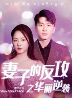 妻子的反攻之华丽逆袭