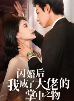 闪婚后我成了大佬的掌中之物啊