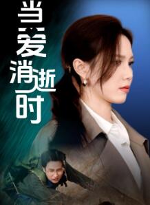 当爱消逝时